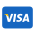 payment with visa card