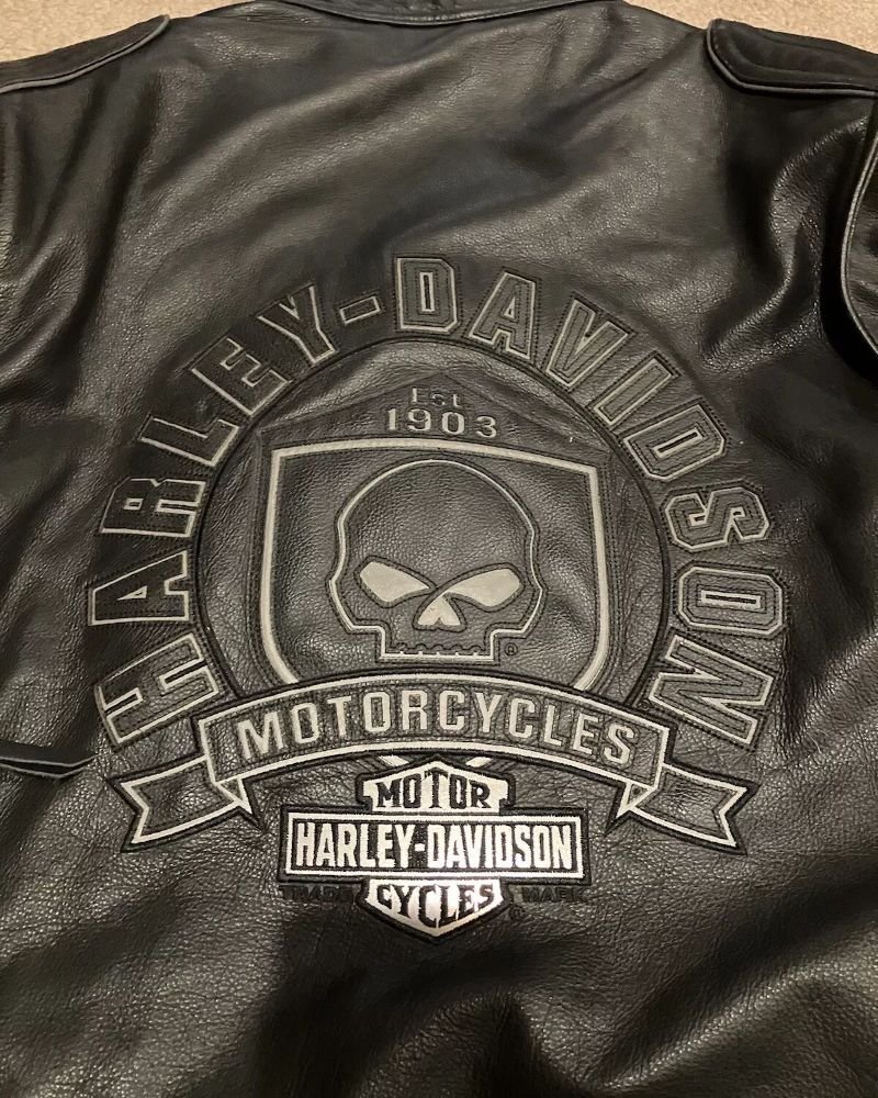 H-D Jacket Aurora Willie Jacket Back logo