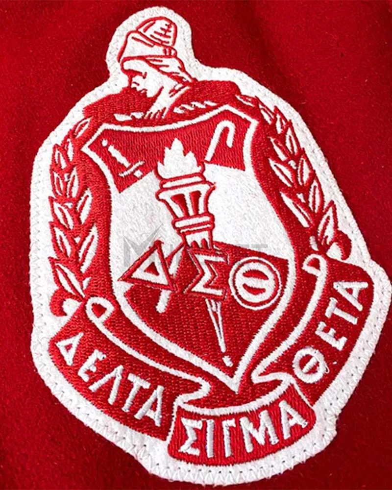Delta Sigma Theta Letterman Jacket - image 5
