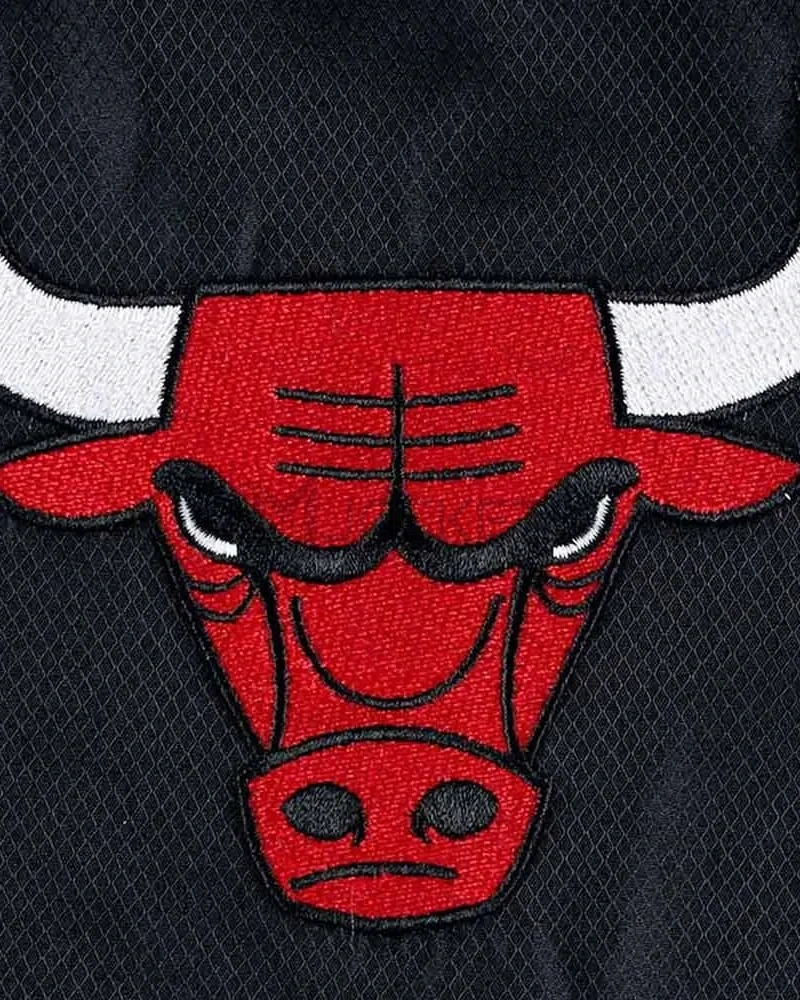 Ripstop Chicago Bulls Nylon Jacket - image 4